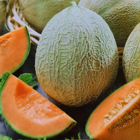 Melones Emir F1, 10 sēklas